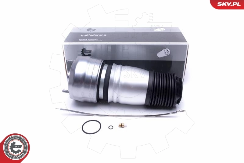 Air Spring, suspension